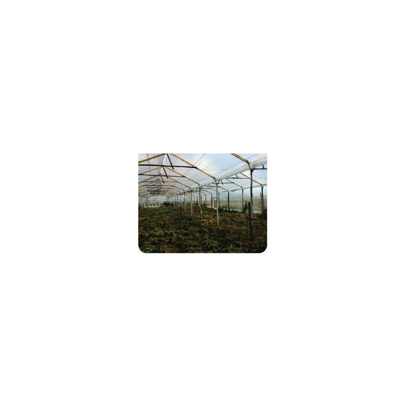 PLASTICO DE INVERNADERO 7 ANCHO X 70  MTS. CALIBRE 6